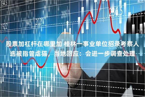 股票加杠杆在哪里加 桂林一事业单位招录考察人选被指曾虐猫，当地回应：会进一步调查处理