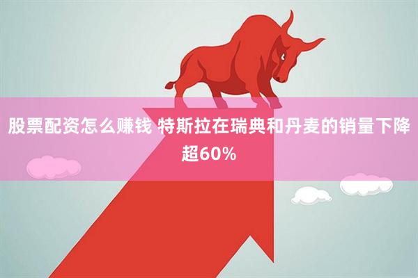 股票配资怎么赚钱 特斯拉在瑞典和丹麦的销量下降超60%